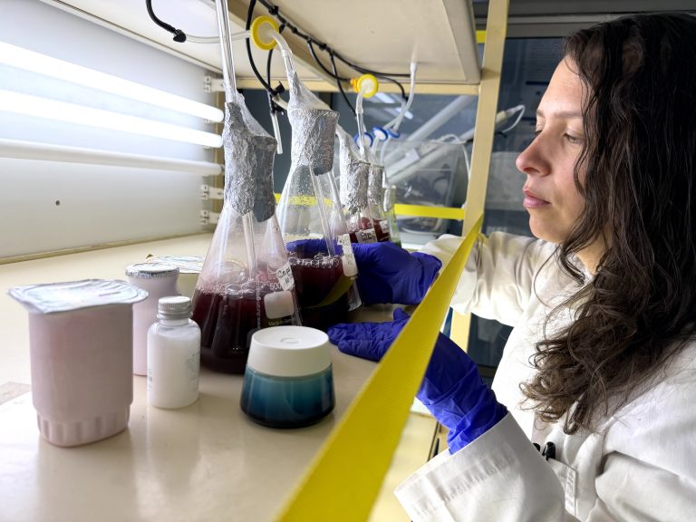 Investigación UdeC 1