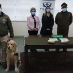 Carabineros detuvo a menor de edad colombiana por tráfico de drogas en la ruta 5 a la altura de San Pablo